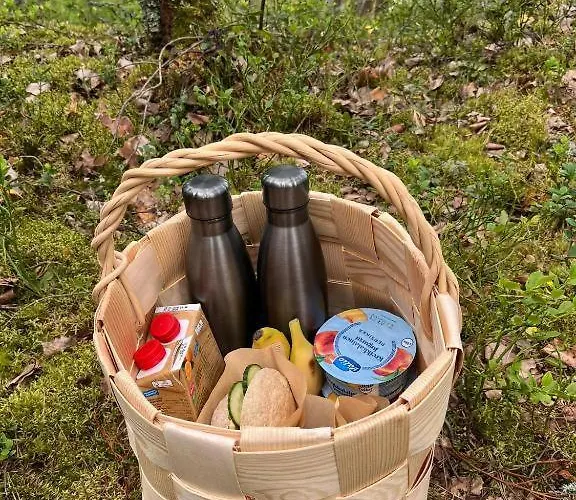 Metsaesydaen Moekki 5 Moerrimoeykky Parque de vacaciones Junninmaki