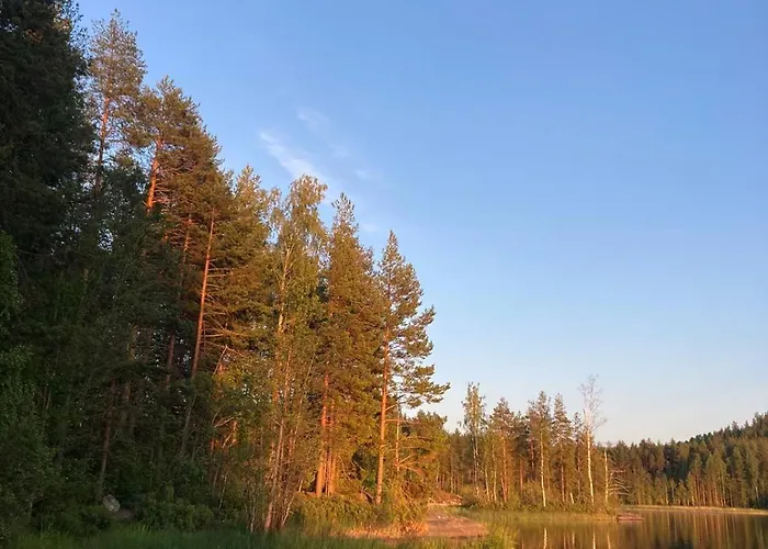 Parque de vacaciones Metsaesydaen Moekki 5 Moerrimoeykky Junninmaki