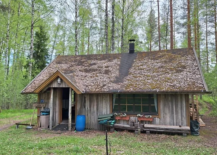 Metsaesydaen Moekki 5 Moerrimoeykky Parque de vacaciones