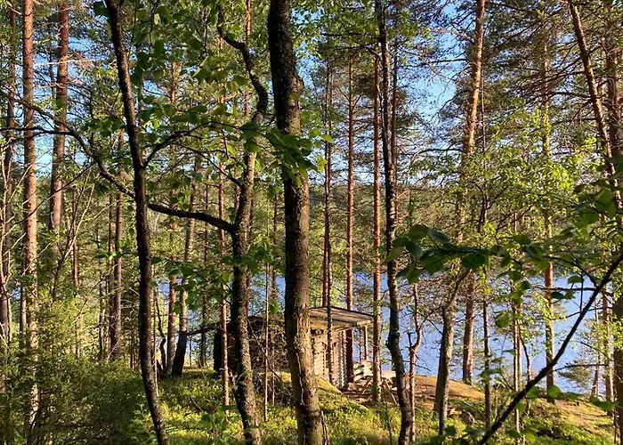 Ferienpark Metsaesydaen Moekki 5 Moerrimoeykky Junninmaki
